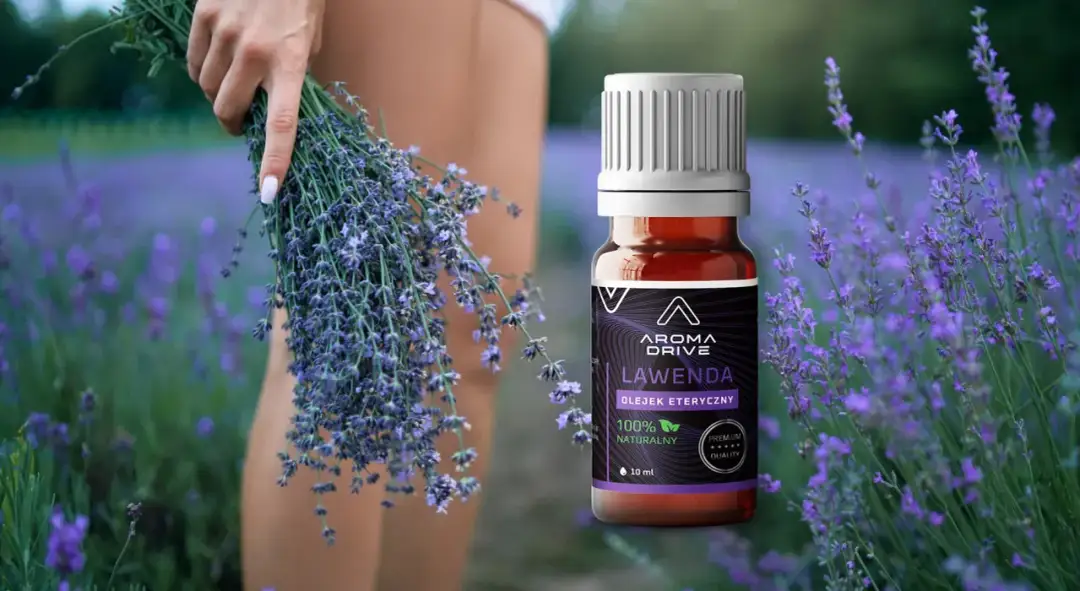 Komary? Zrób naturalny spray lawendowy! Przepis DIY