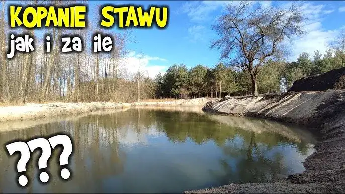 Ile kosztuje budowa stawu? Poznaj ukryte koszty i czynniki wpływające
