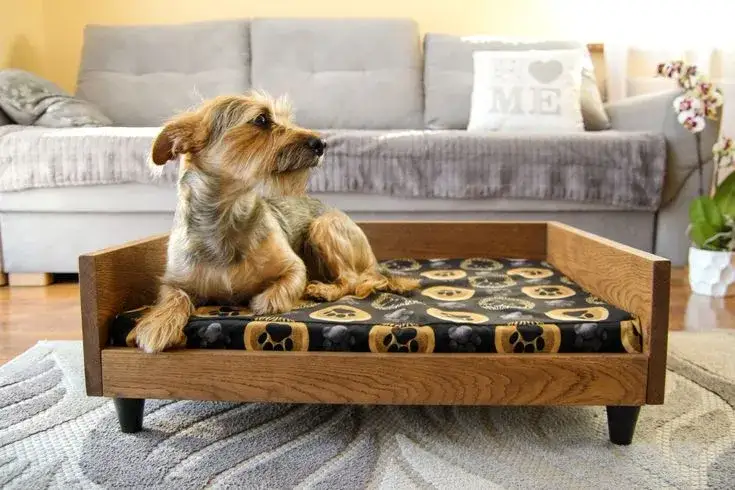 Jak zrobić drewniane legowisko dla psa - proste kroki i porady