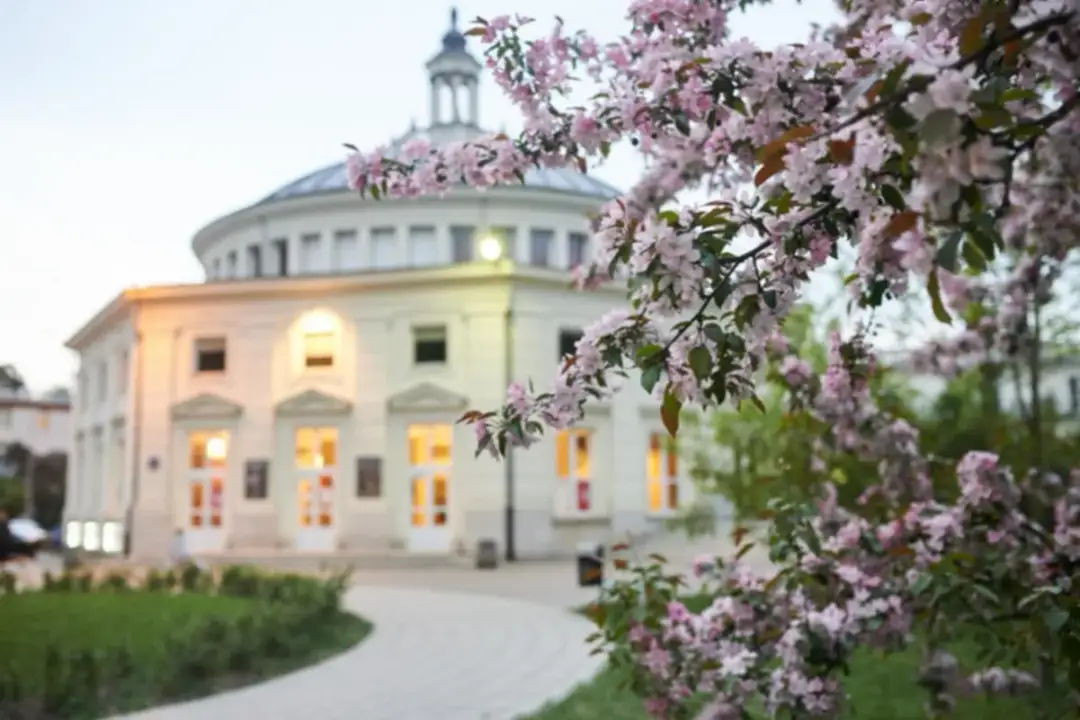 Czy notariusz zawiadamia sąd o odrzuceniu spadku? Sprawdź, co musisz wiedzieć