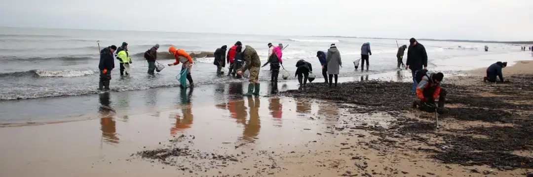 Gdzie szukać bursztynu nad Bałtykiem? Odkryj najlepsze miejsca i porady