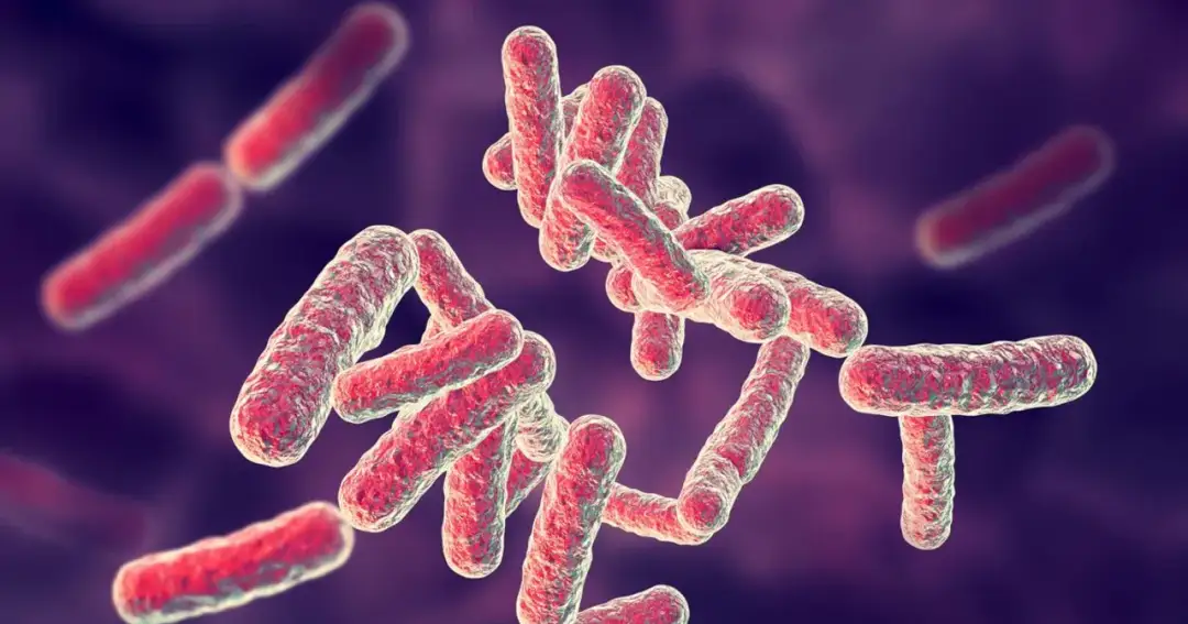 Co wywołuje choroby zakaźne: poznaj 4 najgroźniejsze patogeny i ich skutki