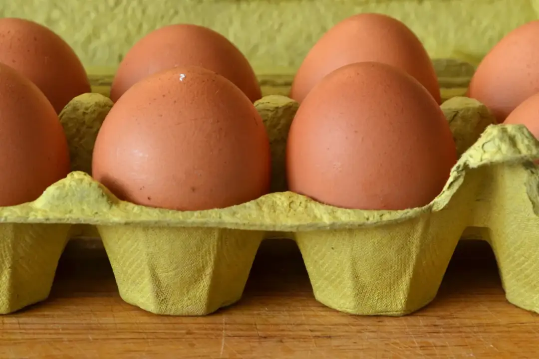 Czy jaja przepiórcze uczulają? Dowiedz się o ryzyku alergii