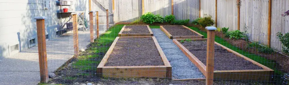 Czym ogrodzić ogródek warzywny, aby skutecznie chronić rośliny?