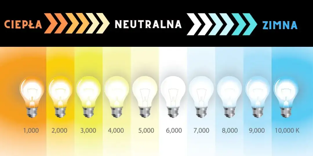 Jak wybrać idealną lampę do przedpokoju? Porady, które ułatwią decyzję