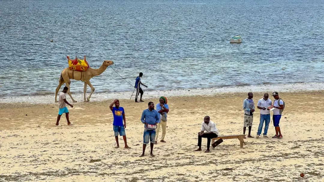 Najlepsze atrakcje w Mombasie, które musisz zobaczyć podczas podróży