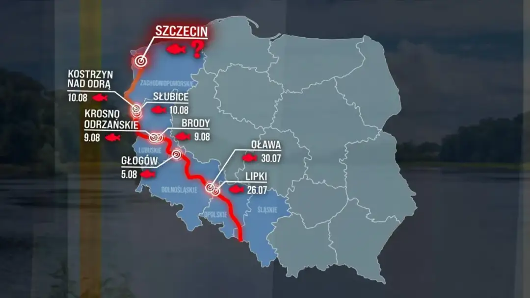 Gdzie rodzi się Odra? Przewodnik po źródłach i okolicznych atrakcjach