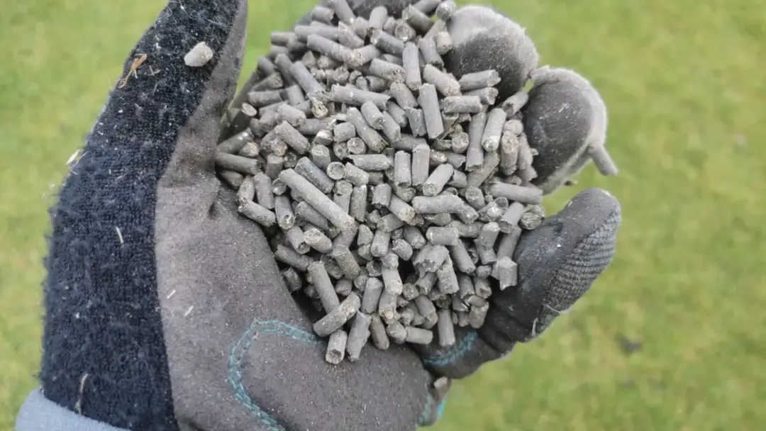 Jaki obornik na trawnik? Odkryj najlepsze nawozy dla zdrowej trawy