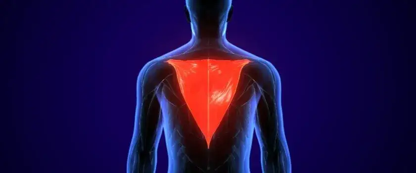 Napięty mięsień czworoboczny objawy – jak uniknąć bólu i dyskomfortu