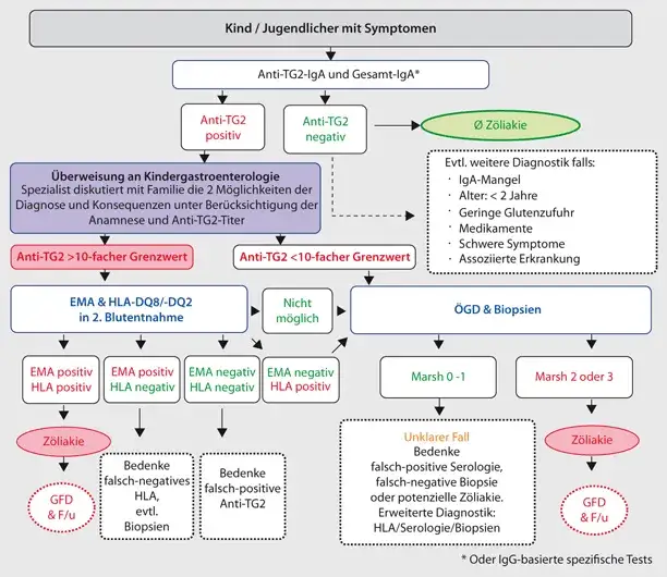 Zöliakie Diagnostik: Wichtige Schritte zur sicheren Diagnose verstehen