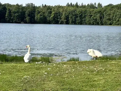 Jezioro Długie Zachodniopomorskie - idealne miejsce na relaks i wędkowanie