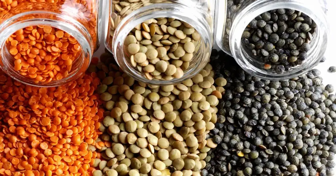 Czy soczewica jest dietetyczna? Odkryj jej zdrowotne korzyści dla diety