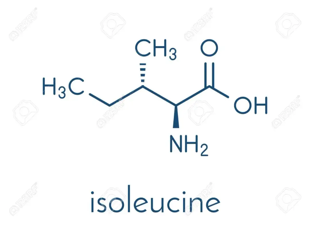 Ile jest liter i w polskim alfabecie? Zaskakujące fakty