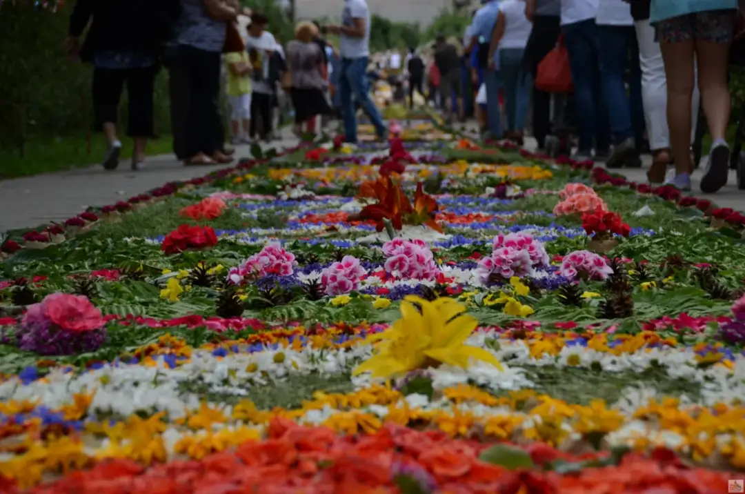 Jakie kwiaty wybrać do dywanów kwiatowych w ogrodzie, aby zachwycały?