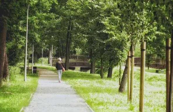 Miejsca warte odwiedzenia w Zielonej Górze. 7 propozycji