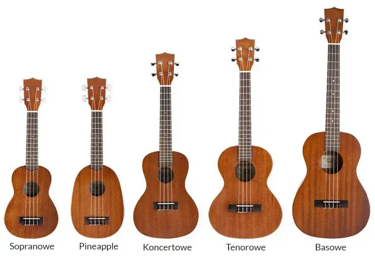 Ukulele koncertowe czy sopranowe - różnice i zalety obu rodzajów