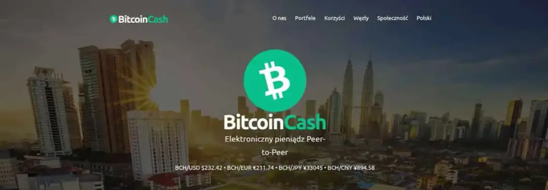 Bitcoin Cash czy warto: Analiza opłacalności inwestycji w BCH
