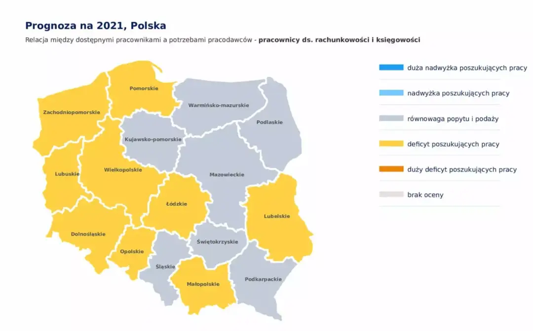 Co można robić po studiach finanse i rachunkowość? Sprawdź możliwości kariery