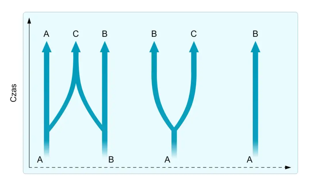Izolacja geograficzna: Jak bariery tworzą nowe gatunki?
