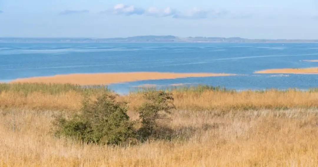 Zalew Szczeciński atrakcje, które musisz zobaczyć i przeżyć