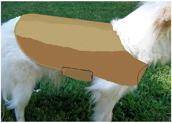 Jak uszyć ubranko dla psa? Prosty poradnik DIY!