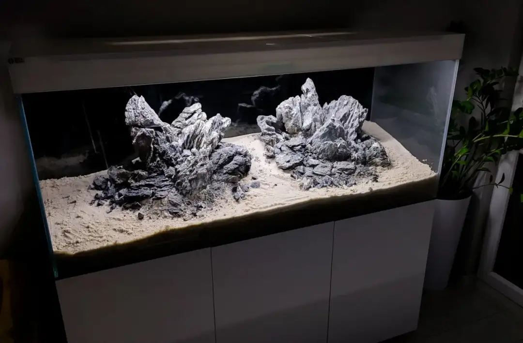 Akwarium Tanganika czy Malawi: poznaj różnice i wybierz najlepsze