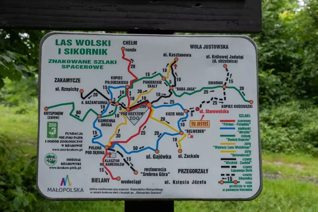 Najlepsze trasy rowerowe w Lesie Wolskim – odkryj swoje ulubione szlaki