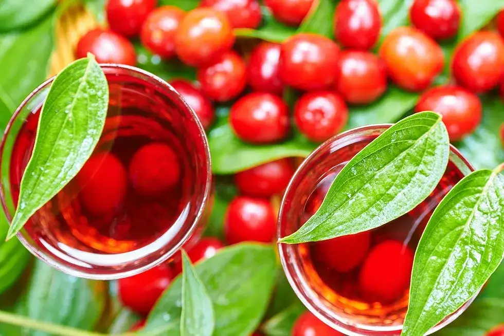 Czy mrozić dereń na nalewkę? Odkryj sekrety idealnego smaku