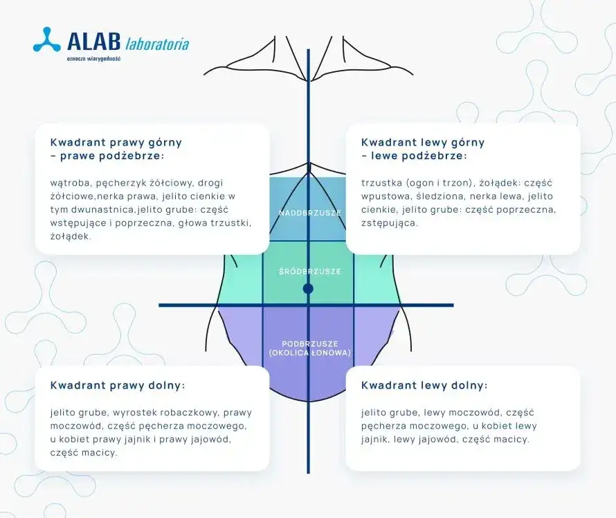 Ból brzucha? Jakie badania wykonać i kiedy szukać pomocy