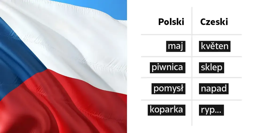 Czeski a polski: Porównanie języków i kultury