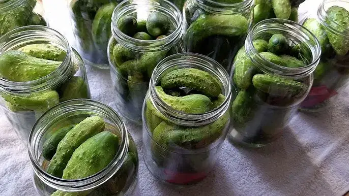 Ogórki kiszone na zimę: Idealnie chrupkie? Poznaj mój przepis!