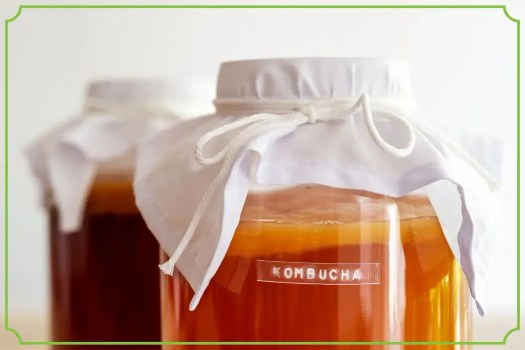 Kombucha co daje? Odkryj zdrowotne korzyści tego napoju
