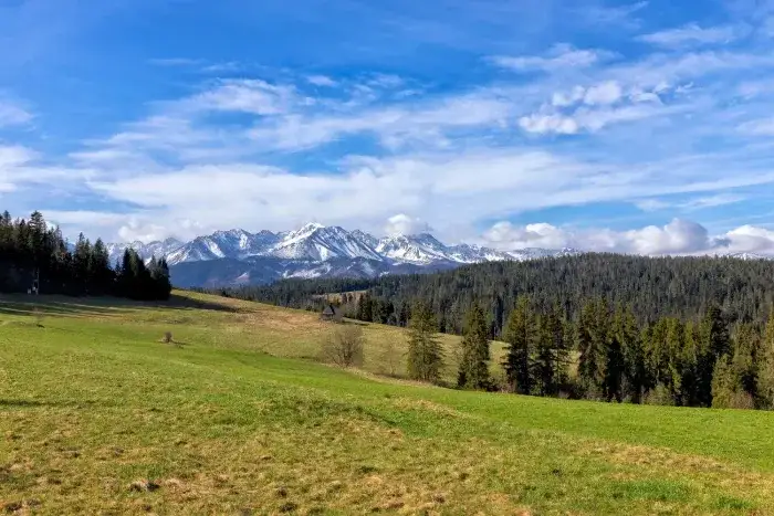 Bukowina Tatrzańska: szlaki widokowe bez wysiłku? Sprawdź!