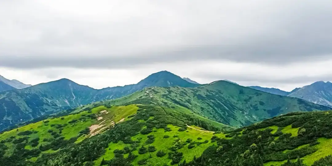 Grześ, Rakoń, Wołowiec: Malowniczy szlak w Tatrach Zachodnich