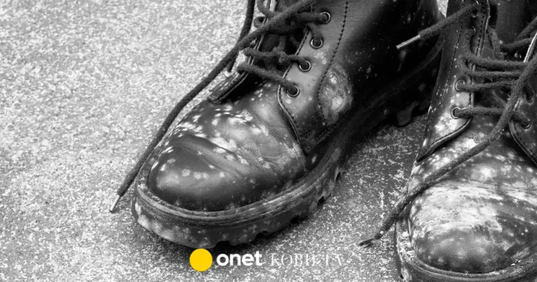 Skuteczne metody na to, jak wyczyścić buty z pleśni i uniknąć problemów
