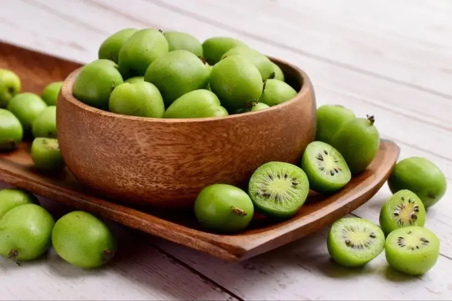 Jak uprawiać mini kiwi: proste sposoby na zdrowe i smaczne owoce