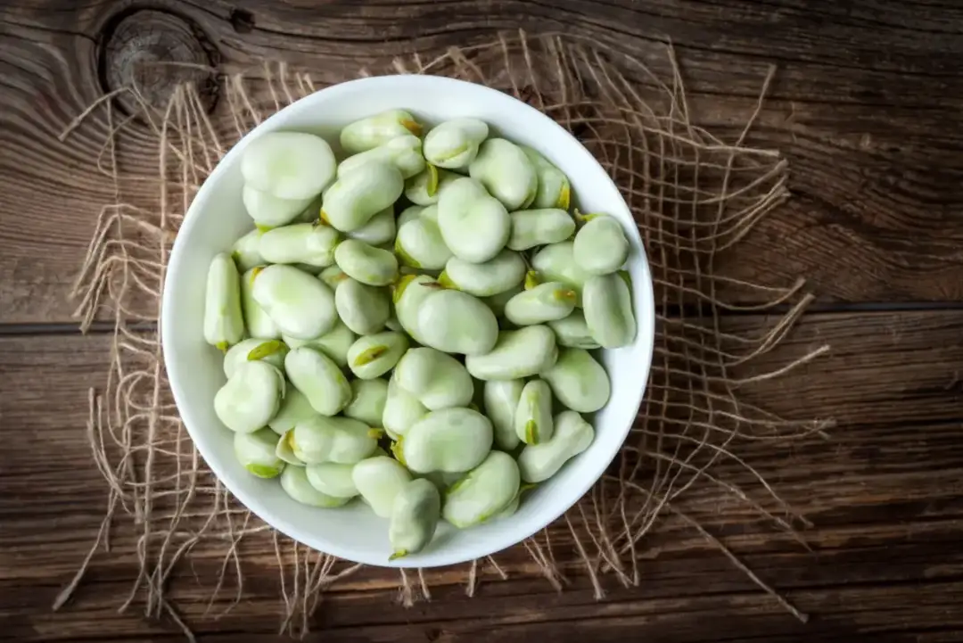 Jakie właściwości ma bób? Korzyści zdrowotne boba dla zdrowia i diety