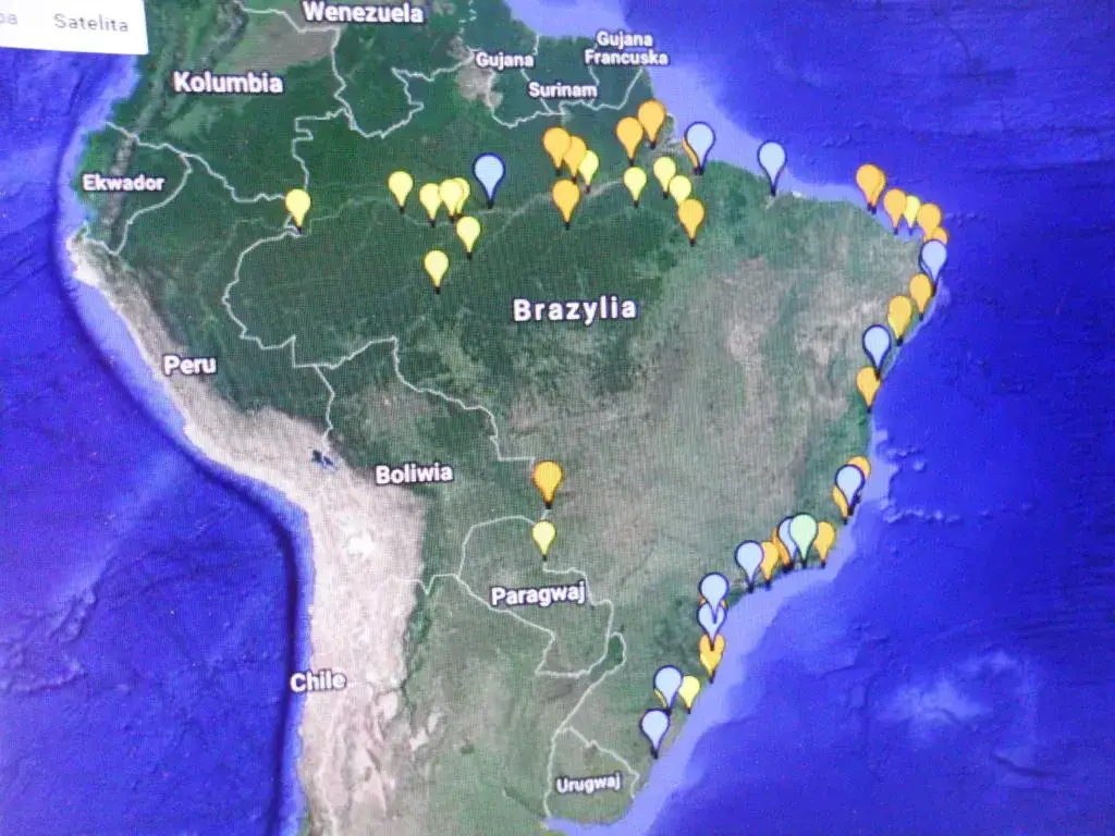 Gdzie dokładnie leży Brazylia? Położenie, sąsiedzi i geografia w pigułce