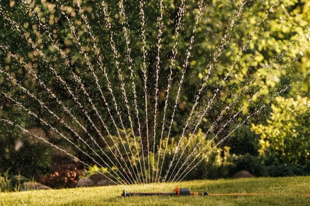 Wybierz idealny zraszacz ogrodowy: Uniknij błędów, oszczędź wodę