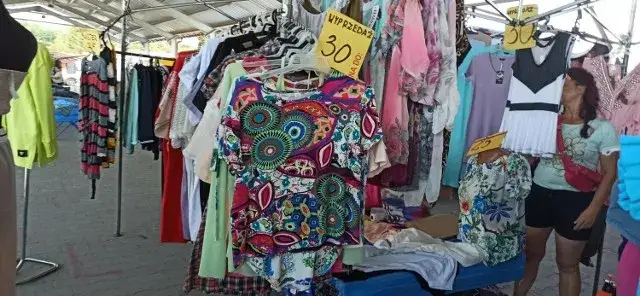 Kiedy giełda staroci w Rzeszowie – terminy, lokalizacja i porady dla uczestników