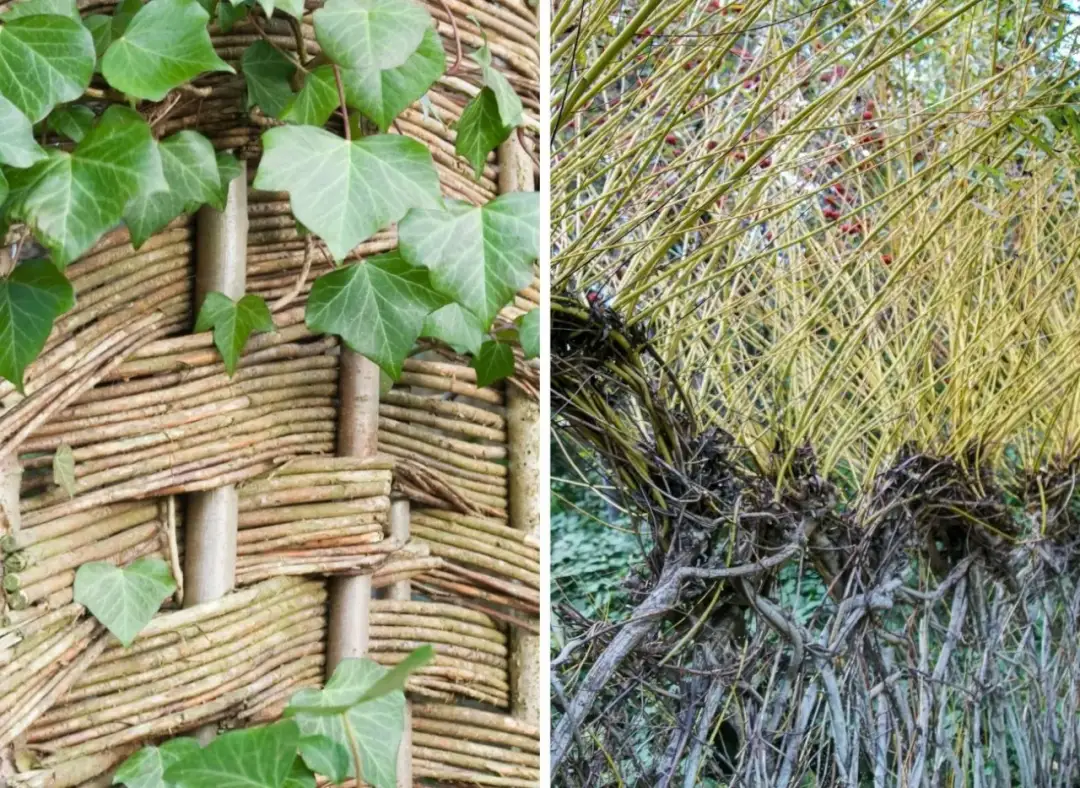 Jak zrobić płot z wierzby - proste kroki do pięknego ogrodzenia