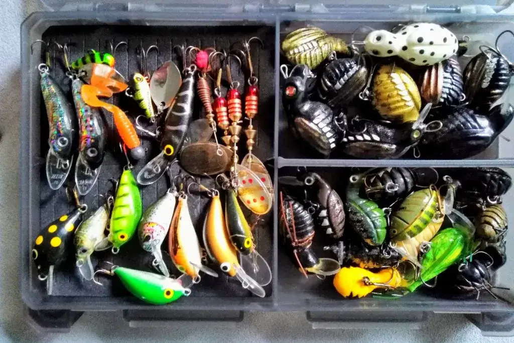 Jaka plecionka na klenia? Wybierz najlepszą dla udanego połowu