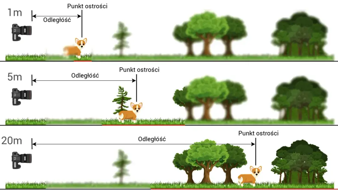 Preselekcja przysłony - jak zapanować nad głębią ostrości i tłem?