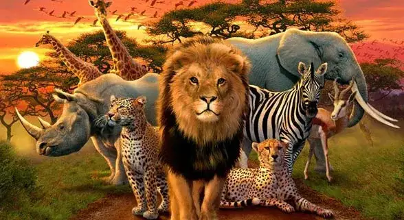 Jakie zwierzęta mieszkają w Afryce? Odkryj fascynującą faunę