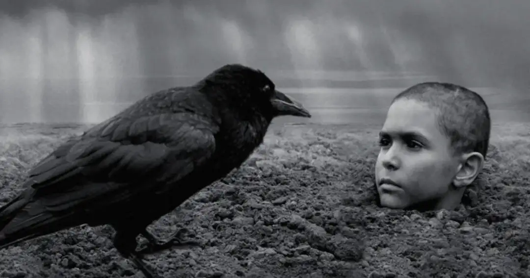 Gdzie obejrzeć film Malowany ptak online? Odkryj najlepsze platformy