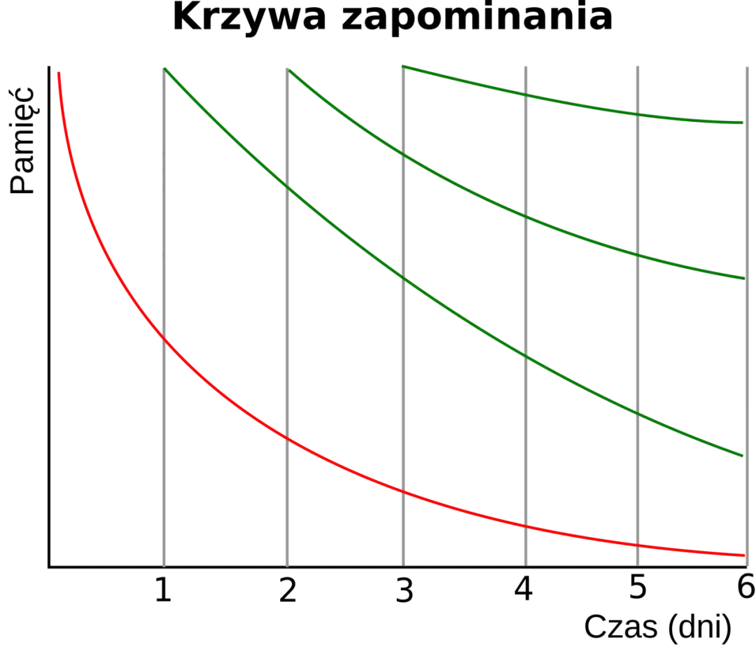 Jak najlepiej uczyć się słówek i uniknąć zapominania ich na zawsze