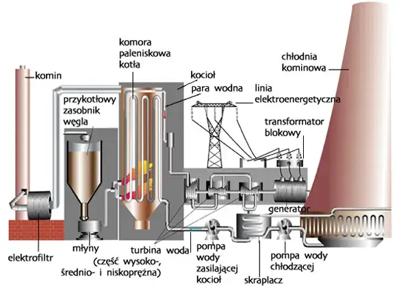 Jak działa elektrownia węglowa? Proces krok po kroku