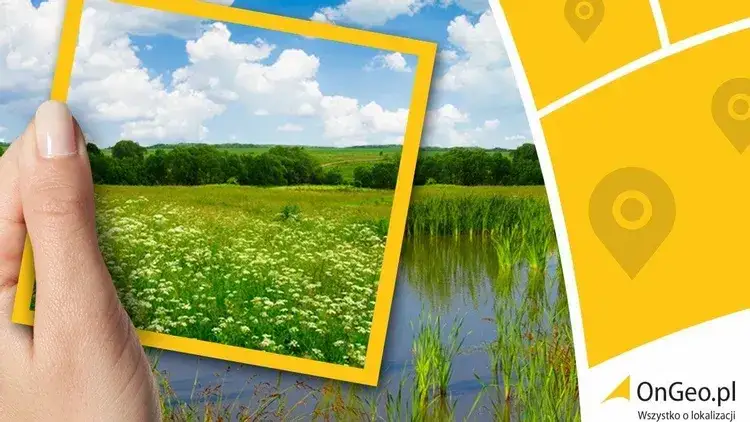 Po zakupie działki budowlanej co dalej? Kluczowe kroki do podjęcia