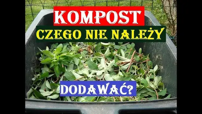 Czy można sadzić w kompoście? Odkryj zagrożenia i najlepsze praktyki