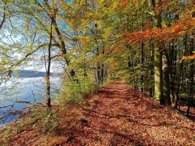 Najlepsze trasy rowerowe w Dolnym Śląsku - odkryj ukryte perełki